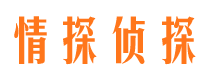 宣武市侦探调查公司